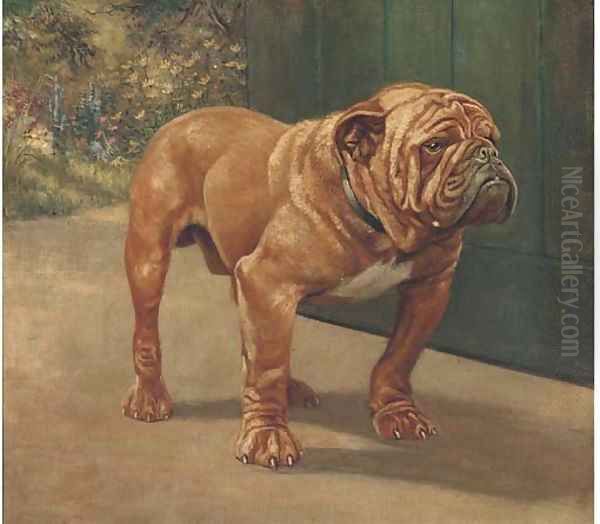 A bulldog 2 Oil Painting by English School