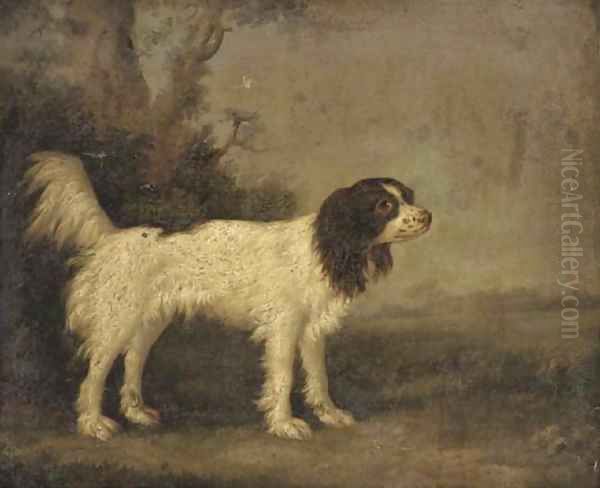 A springer spaniel in a landscape Oil Painting by English School