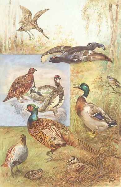 Game birds Oil Painting by English School