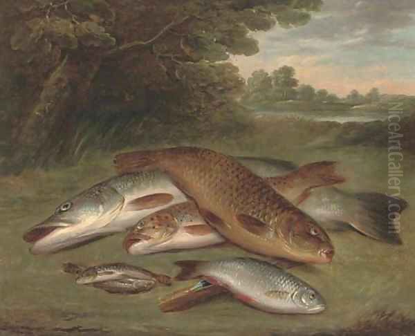 The day's catch Oil Painting by English School