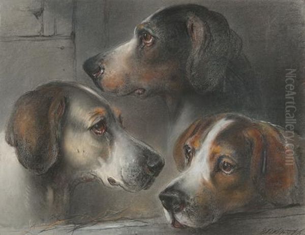 Three Hounds Heads Oil Painting by Edward Robert Smythe