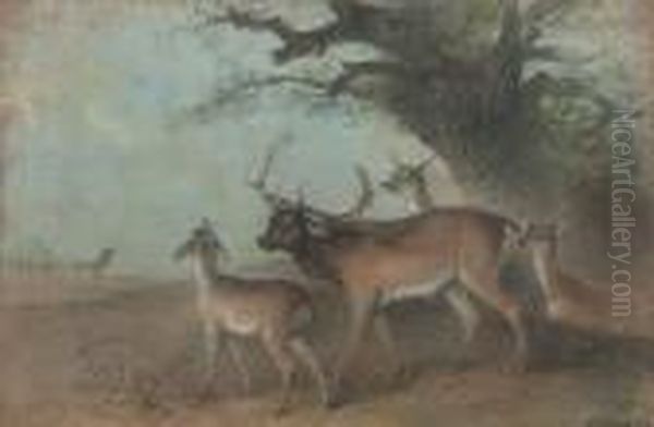 Stag And Does By An Old Oak Tree Oil Painting by Edward Robert Smythe