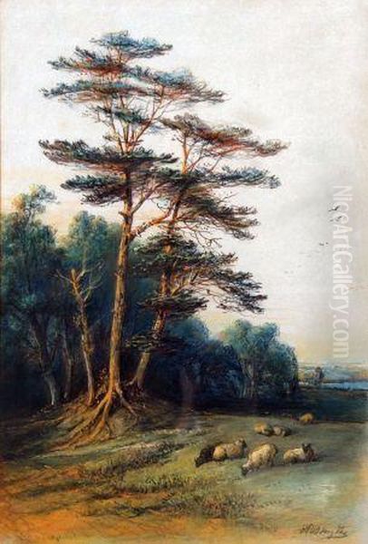 Sheep Grazing By A Woodland Oil Painting by Edward Robert Smythe