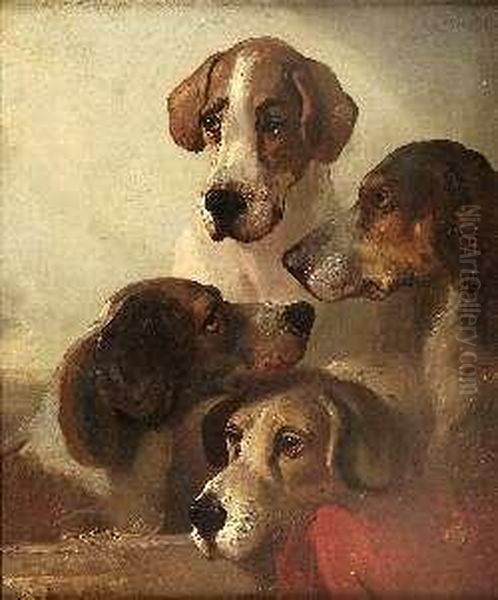 Hounds Study Oil Painting by Edward Robert Smythe