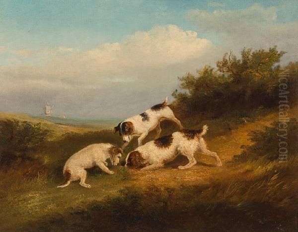 Terriers Rabbiting Oil Painting by Thomas Smythe