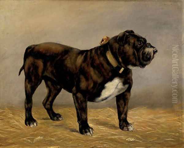 A Bull Terrier Oil Painting by English School