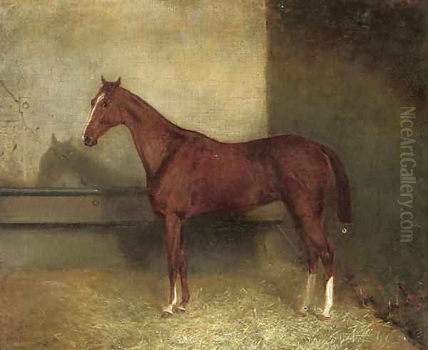 A chestnut hunter in a stable Oil Painting by English School