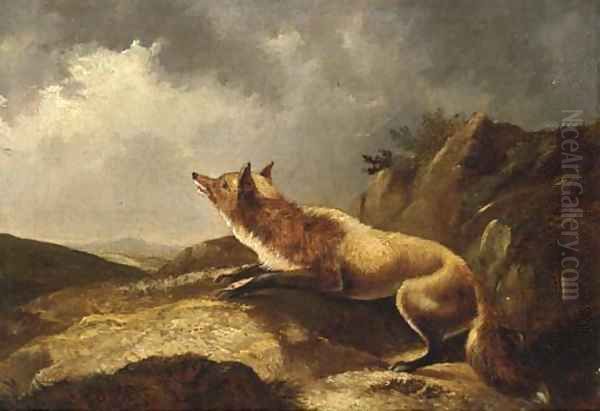 A fox in a landscape Oil Painting by English School