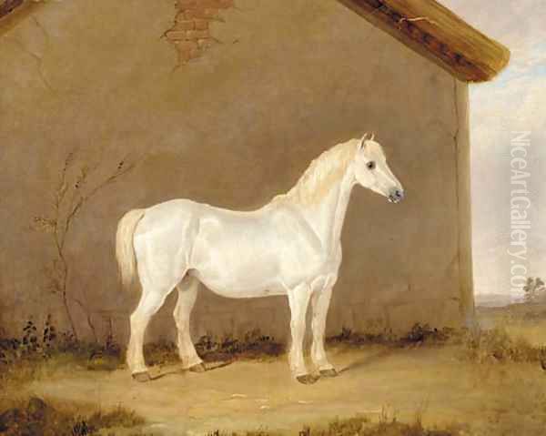 A grey horse beside a barn Oil Painting by English School