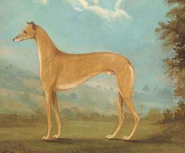 A greyhound in a landscape Oil Painting by English School