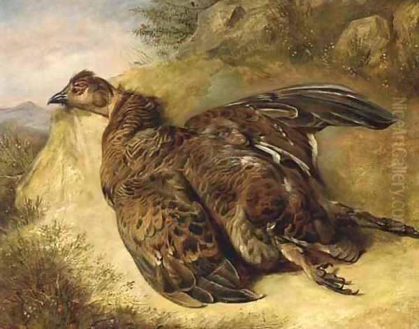 A grouse on a bank Oil Painting by English School