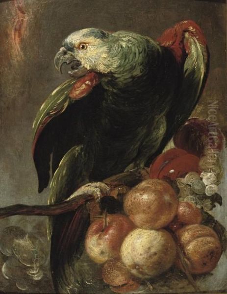 A Parrot Sitting On A Branch With Fruit Nearby Oil Painting by Frans Snyders