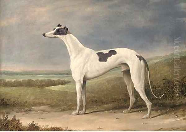 A prize greyhound in an extensive landscape Oil Painting by English School