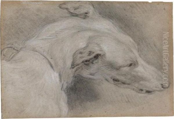 : Study Of The Head And Shoulders Of A Greyhound, Turned To The Left Oil Painting by Frans Snyders