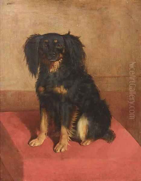 A seated spaniel Oil Painting by English School