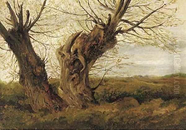 A study of a willow Oil Painting by English School