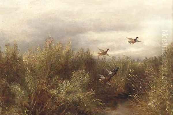 Ducks over a marsh Oil Painting by English School