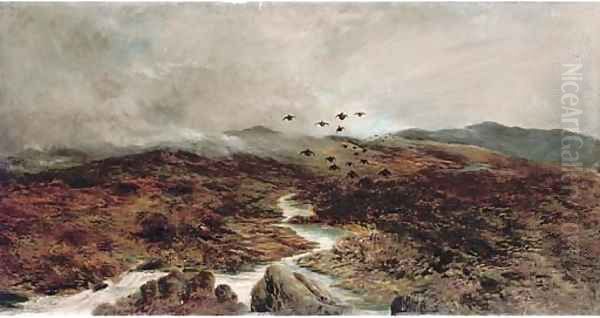 Grouse over the moors Oil Painting by English School