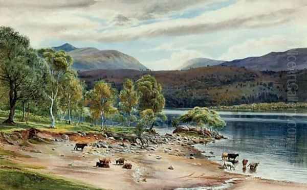 Highland cattle watering at a loch Oil Painting by English School