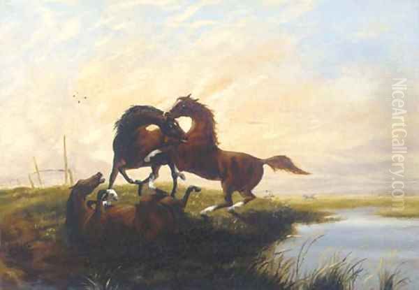 Horses fighting at sunset Oil Painting by English School