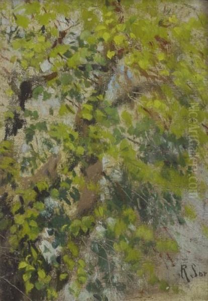 Albero Oil Painting by Raffaelo Sorbi