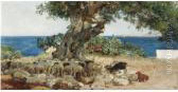 Algarrobo (the Carob Tree) Oil Painting by Joaquin Sorolla Y Bastida