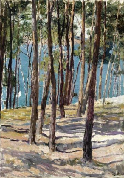 Pinos De Galicia (pine Trees, Galicia) Oil Painting by Joaquin Sorolla Y Bastida