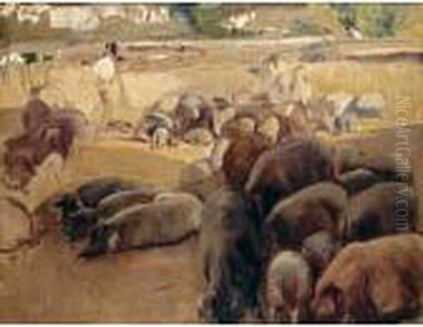 Estudio De Cerdos (study Of Pigs) Oil Painting by Joaquin Sorolla Y Bastida