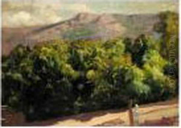 La Selva. Jardines De La Granja De San Ildefonso (gardens At San Ildefonso) Oil Painting by Joaquin Sorolla Y Bastida