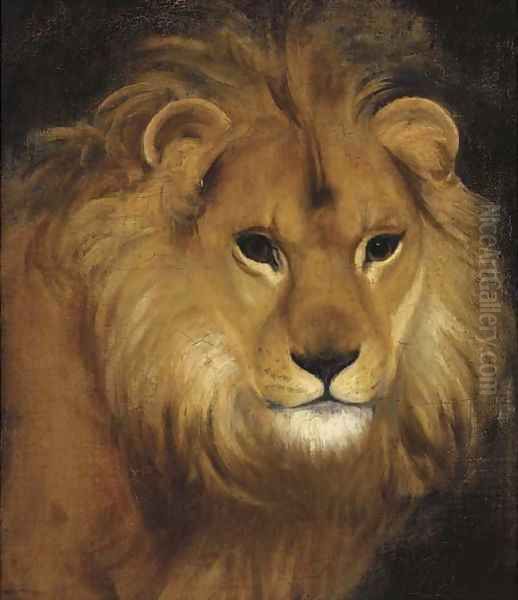 The head of a lion Oil Painting by English School