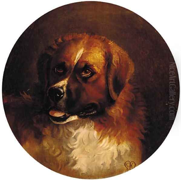 The head of a St. Bernard Oil Painting by English School