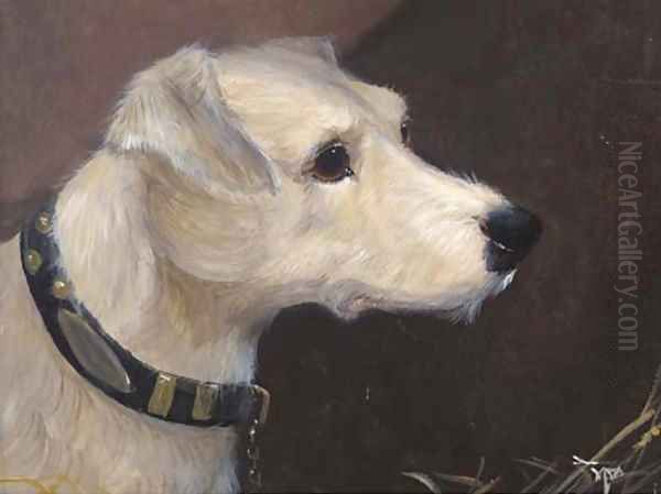 The head of a terrier 2 Oil Painting by English School