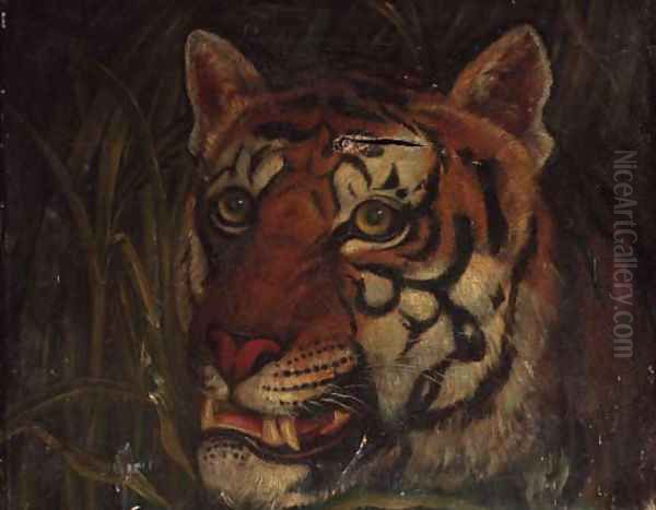 Tiger 2 Oil Painting by English School