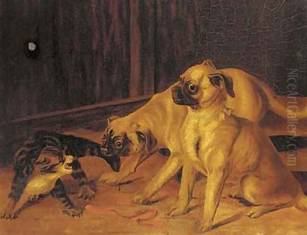 Up to mischief, two pugs with a kitten Oil Painting by English School