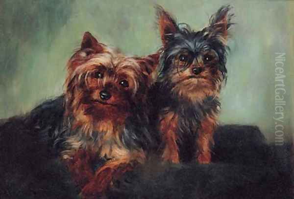 Yorkshire Terriers Oil Painting by English School