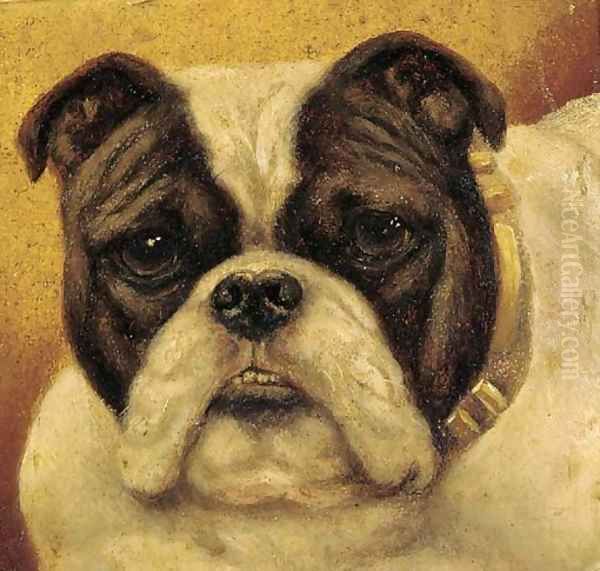 A bulldog Oil Painting by English School