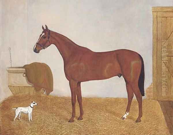 A chesnut horse in a stable Oil Painting by English School