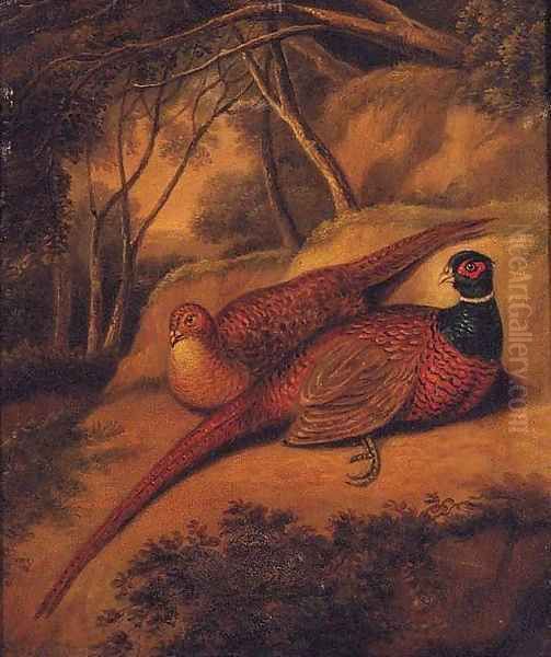 A Cock and Hen Pheasant in a wooded Landscape Oil Painting by English School