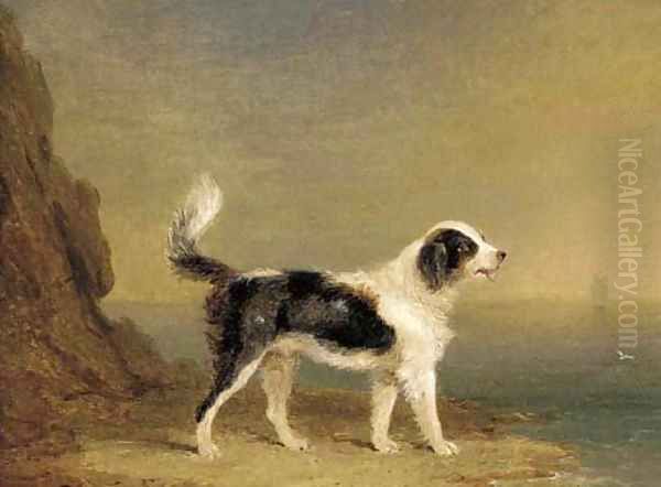 A dog on a beach Oil Painting by English School