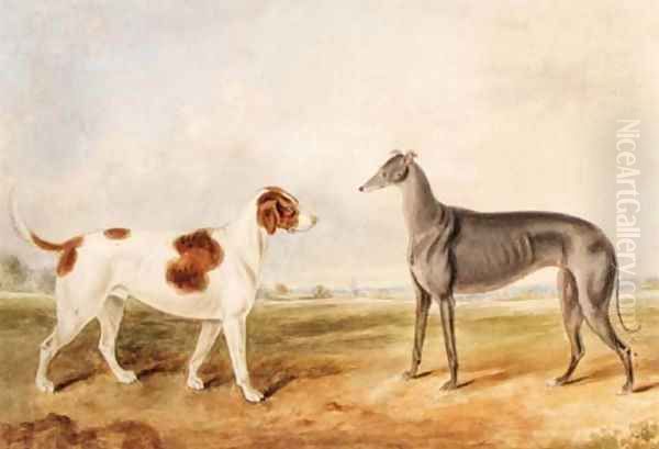 A Foxhound and a Greyhound in an extensive Landscape by English School