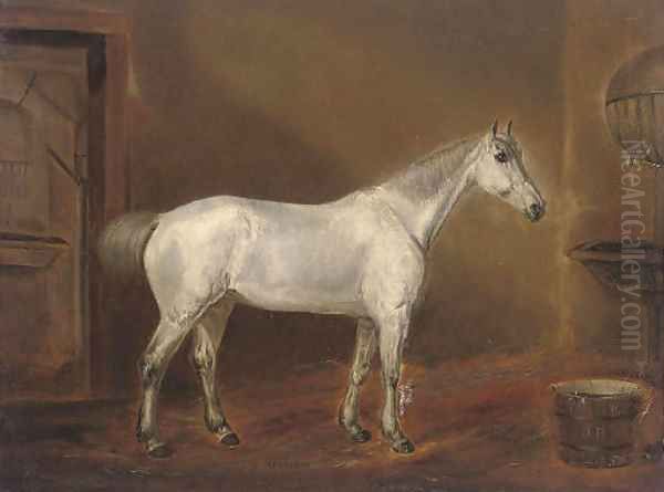 A grey hunter in a stable Oil Painting by English School