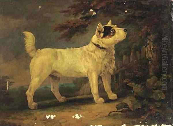 A Jack Russell terrier in a wooded landscape Oil Painting by English School