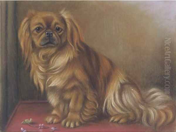 A pekingese on a table Oil Painting by English School