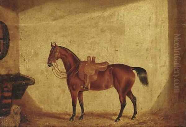 A saddled bay horse in a stable Oil Painting by English School