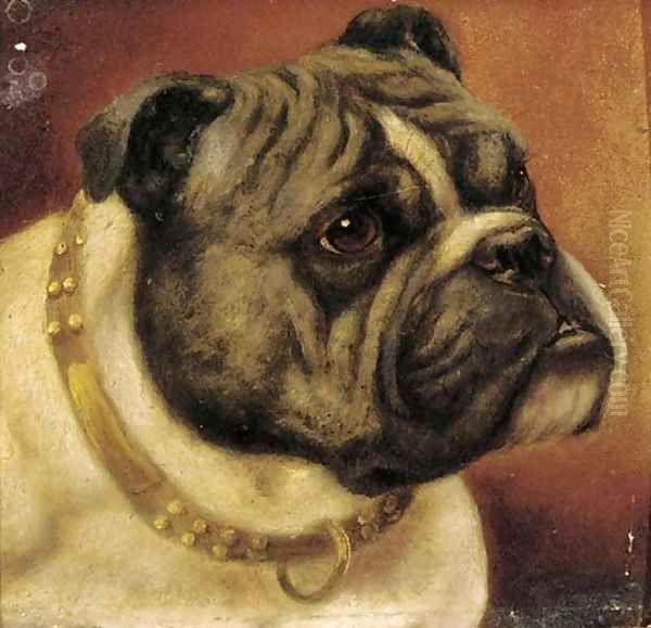 Barney, a bulldog Oil Painting by English School