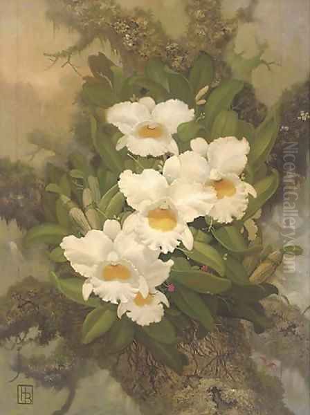 Orchids Oil Painting by English School