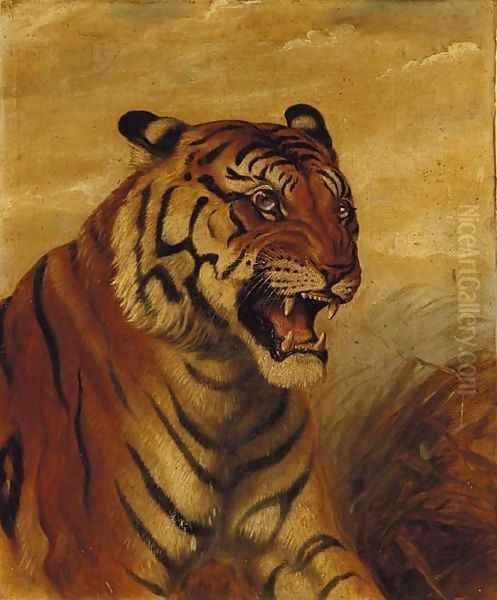 Snarling Tiger Oil Painting by English School