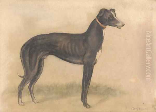 Study of a greyhound Oil Painting by English School