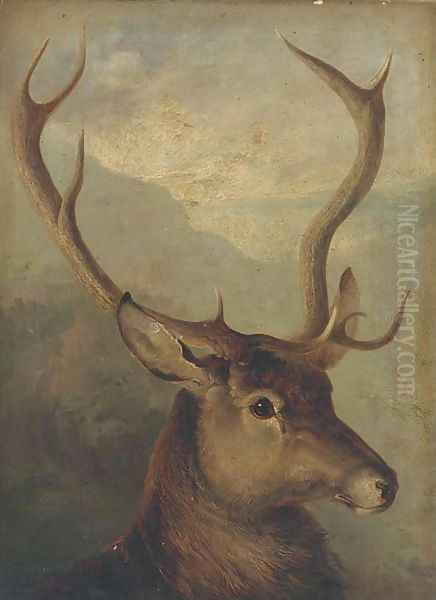 The head of a stag by English School