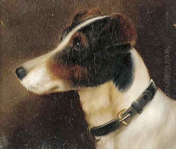 The head of a terrier Oil Painting by English School